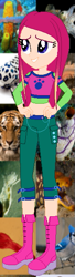 Size: 163x598 | Tagged: safe, artist:selenaede, artist:unicorngirl06, derpibooru import, big cat, bird, blue jay, human, tiger, equestria girls, animal, barely eqg related, boots, clothes, crossover, equestria girls style, equestria girls-ified, hand on hip, high heel boots, high heels, pants, roxy (winx club), shirt, shoes, smiling, winx club