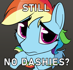 Size: 1042x1000 | Tagged: safe, artist:dacaoo, derpibooru import, rainbow dash, pegasus, pony, female, looking at you, mare, meme, no bitches?, ponified, ponified meme, simple background, solo