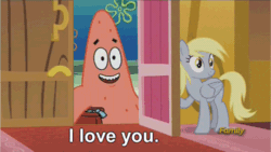 Size: 500x281 | Tagged: safe, derpibooru import, edit, edited screencap, screencap, derpy hooves, pegasus, pony, slice of life (episode), animated, chocolate with nuts, derpy's door, duo, duo male and female, exploitable meme, female, gif, i love you, male, mare, meme, obligatory pony, patrick star, smiling, spongebob squarepants, starfish