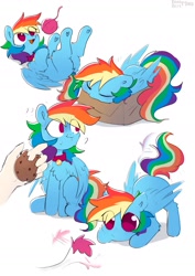 Size: 1341x1895 | Tagged: safe, artist:enderselyatdark, derpibooru import, rainbow dash, pegasus, pony, behaving like a cat, box, chest fluff, collar, cookie, disembodied hand, ears, eye clipping through hair, eyes closed, floppy ears, food, hand, happy, if i fits i sits, leaf, lying down, on back, pony in a box, pony pet, rainbow cat, simple background, sleeping, smiling, solo focus, tail, tail wag, white background, yarn, yarn ball