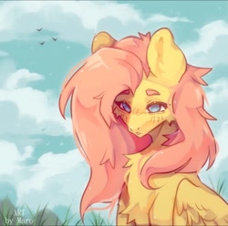 Size: 720x714 | Tagged: safe, artist:marok1mura, derpibooru import, fluttershy, bird, pegasus, pony, blushing, catchlights, chest fluff, cloud, cloudy, ear fluff, ears, folded wings, grass, shadow, sky, wings