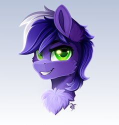 Size: 2000x2100 | Tagged: safe, artist:rainbowfire, derpibooru import, oc, oc only, oc:proudy hooves, earth pony, pony, bust, cheek fluff, chest fluff, cute, ear fluff, ears, eyebrows, fluffy, gradient background, looking at you, male, purple hair, smiling, solo, stallion