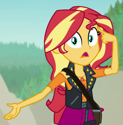 Size: 1058x1080 | Tagged: safe, derpibooru import, screencap, sunset shimmer, better together, equestria girls, forgotten friendship, cropped, solo