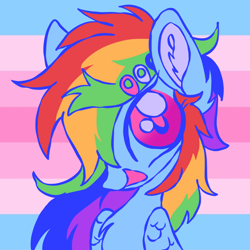 Size: 1280x1280 | Tagged: safe, artist:webkinzworldz, derpibooru import, rainbow dash, pegasus, pony, female, gender headcanon, icon, solo, trans female, transgender