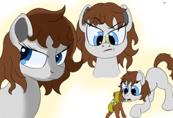 Size: 1750x1200 | Tagged: safe, derpibooru import, pony, blue eyes, brown hair, simple background, white background