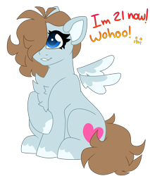 Size: 4620x5410 | Tagged: safe, artist:crazysketch101, derpibooru import, oc, oc only, pegasus, pony, chest fluff, self insert, simple background, sitting, solo, transparent background