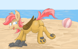 Size: 1942x1224 | Tagged: safe, artist:pzkratzer, derpibooru import, oc, oc only, oc:ponygriff, hippogriff, ball, beach, beach ball, butt, featureless crotch, flockmod, hippogriff oc, male, nudity, paw pads, paws, plot, sexy, solo, underpaw