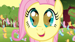 Size: 1920x1080 | Tagged: safe, derpibooru import, screencap, fluttershy, butterfly, pegasus, pony, season 1, the cutie mark chronicles, 1080p, close-up, cute, eye reflection, female, filly, filly fluttershy, foal, happy, open mouth, reflection, shyabetes, solo, tree, younger