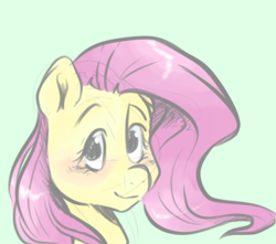Size: 1648x1456 | Tagged: safe, artist:smirk, derpibooru import, fluttershy, pegasus, pony, blushing, bust, colored sketch, female, green background, looking at you, mare, simple background, sketch, smiling, smiling at you, solo