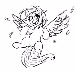 Size: 4096x3909 | Tagged: safe, artist:greenybeanz, derpibooru import, rainbow dash, pegasus, pony, female, monochrome, simple background, sketch, solo, white background