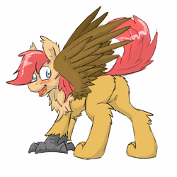 Size: 4000x4000 | Tagged: safe, artist:pzkratzer, derpibooru import, oc, oc:ponygriff, blushing, butt, cute, featureless crotch, flockmod, looking back, open mouth, plot, ponygriff, spread wings, wings