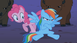 Size: 1280x720 | Tagged: safe, derpibooru import, screencap, pinkie pie, rainbow dash, buffalo, earth pony, pegasus, pony, over a barrel, season 1, angry, crossed hooves, female, frown, group, grumpy, mare, open mouth, pouting, quartet, rainbow dash is not amused, raised hoof, raised leg, shadow, sitting, spread wings, unamused, unnamed character, wings