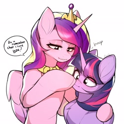 Size: 2048x2048 | Tagged: safe, artist:minekoo2, derpibooru import, princess cadance, twilight sparkle, twilight sparkle (alicorn), alicorn, pony, awww, boop, cute, duo, duo female, female, hug, mare, simple background, sisters-in-law, speech bubble, white background