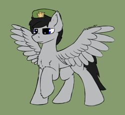 Size: 1797x1648 | Tagged: safe, artist:monycaalot, derpibooru import, oc, oc only, pegasus, pony, colored sketch, gift art, green background, male, simple background, soldier, solo, spread wings, wings