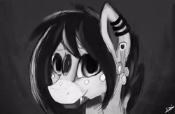 Size: 2936x1917 | Tagged: safe, artist:minckies, derpibooru import, oc, oc only, earth pony, pony, bust, ear piercing, earring, earth pony oc, jewelry, piercing, signature, smiling, solo