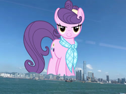 Size: 1440x1080 | Tagged: safe, artist:cheezedoodle96, derpibooru import, edit, editor:jaredking779, suri polomare, earth pony, pony, >:), clothes, female, giant pony, giantess, highrise ponies, hong kong, irl, looking at you, macro, mare, photo, ponies in real life, scarf, smiling, solo