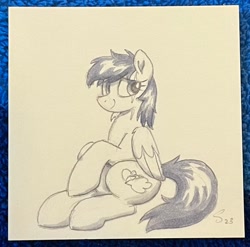 Size: 2048x2026 | Tagged: safe, artist:selenophile, derpibooru import, oc, oc only, pegasus, pony, solo, traditional art
