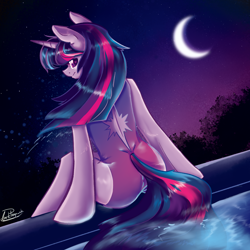 Size: 2000x2000 | Tagged: safe, artist:dankpegasista, derpibooru exclusive, derpibooru import, twilight sparkle, anthro, pony, unicorn, angle, bangs, blurry background, bush, butt, clothes, crescent moon, detailed, digital art, dripping, ear fluff, ears, eyelashes, female, flowing mane, flowy mane, full color, happy, heart, heart eyes, high res, highlights, krita, lineart, long eyelashes, long tail, looking at you, looking back, mare, messy mane, moon, plot, png, purple background, purple hair, rear view, scenery, shading, shiny mane, shiny skin, signature, simple background, sitting, smiling, smiling at you, solo, splashing, starry night, stars, swimming pool, swimsuit, tail, turning, upright, water, water droplet, wet, wet clothes, wet hair, wet mane, wingding eyes