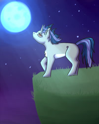 Size: 2000x2500 | Tagged: safe, artist:lunnakoska, derpibooru import, oc, oc only, oc:dreaming star, bat pony, hybrid, pony, unicorn, bat pony oc, bat pony unicorn, chest fluff, commission, fangs, grass, horn, looking up, male, moon, moonlight, night, night sky, outdoors, pale belly, red eyes, sky, solo, stallion, ych result