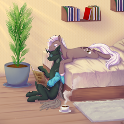 Size: 2835x2835 | Tagged: safe, artist:moontwinkle, derpibooru import, oc, oc:sunrise roast, oc:tarsi, changeling, pony, unicorn, bed, book, changeling oc, commission, horn, plant, reading, shelf, unicorn oc, ych result