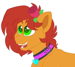 Size: 5288x4739 | Tagged: safe, artist:crazysketch101, derpibooru import, oc, oc only, oc:kale triton, earth pony, pony, collar, flower, looking up, rose, simple background, smiling, solo, transparent background