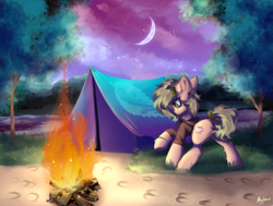 Size: 3306x2500 | Tagged: safe, artist:mysha, derpibooru import, oc, oc only, oc:nettle vienna, earth pony, pony, campfire, camping, earth pony oc, female, logo, mare, moon, tent