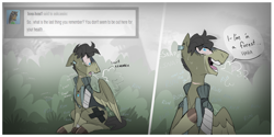 Size: 1280x638 | Tagged: safe, artist:askcassio, derpibooru import, oc, oc:cassio, pegasus, pony, ask, bandage, comic, jewelry, male, necklace, solo, stallion, tumblr