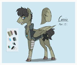 Size: 1280x1073 | Tagged: safe, artist:askcassio, derpibooru import, oc, oc only, oc:cassio, pegasus, pony, bandage, bracelet, jewelry, male, necklace, reference sheet, solo, stallion