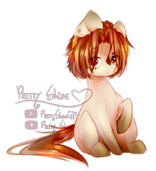 Size: 2021x2230 | Tagged: safe, artist:prettyshinegp, derpibooru import, oc, oc only, earth pony, pony, earth pony oc, male, raised hoof, raised leg, simple background, solo, stallion, transparent background