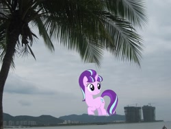 Size: 1600x1200 | Tagged: safe, derpibooru import, edit, starlight glimmer, pony, unicorn, china, cloud, cloudy, coconut, coconut tree, female, giant pony, giantess, highrise ponies, irl, macro, mare, palm tree, photo, ponies in real life, sanya, solo, tree