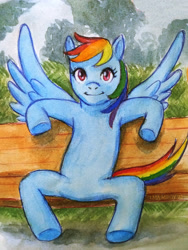 Size: 1800x2400 | Tagged: safe, artist:alexyorim, derpibooru exclusive, derpibooru import, rainbow dash, ashleigh ball, ballpoint pen, bench, bench tails, pose reference, traditional art, watercolor painting