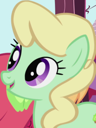 Size: 548x730 | Tagged: safe, derpibooru import, screencap, apple honey, apple tarty, earth pony, pony, friendship is magic, apple family member, background character, background pony, cropped, female, mare