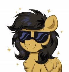 Size: 2781x2883 | Tagged: safe, artist:confetticakez, derpibooru import, oc, oc only, pony, chest fluff, female, simple background, solo, sunglasses, white background