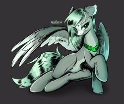 Size: 1920x1606 | Tagged: safe, artist:blazing_stred, derpibooru import, oc, oc only, pegasus, pony, collar, female, mare, simple background