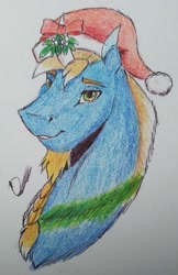 Size: 1208x1862 | Tagged: safe, artist:discbreaker100, derpibooru import, oc, oc only, oc:venomous stray, unicorn, bust, christmas, hat, holiday, male, mistletoe, portrait, stallion, tinsel, traditional art