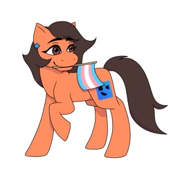 Size: 1024x1024 | Tagged: safe, artist:ghost_raaner, derpibooru import, oc, oc:robertapuddin, cute, pride, pride flag, transgender, transgender pride flag