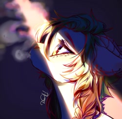 Size: 1212x1171 | Tagged: safe, artist:dorry, derpibooru import, oc, oc only, pony, braid, bust, horns, light, looking up, portrait, smoke, smoking, solo