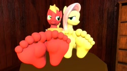 Size: 1920x1080 | Tagged: safe, artist:jhedral, derpibooru import, big macintosh, fluttershy, anthro, earth pony, pegasus, plantigrade anthro, 3d, duo, feet, female, fluttermac, foot focus, looking at each other, looking at someone, male, mare, shipping, soles, source filmmaker, stallion, straight