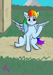 Size: 1448x2048 | Tagged: safe, artist:ashleighasmora, derpibooru import, rainbow dash, pegasus, pony, female, solo