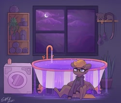 Size: 1280x1084 | Tagged: safe, artist:survya, derpibooru import, oc, oc only, cat, pegasus, pony, bath, bathroom, glasses, night, pegasus oc, room, sitting, sitting on floor, sleeping, solo, sparkles, washing machine