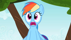 Size: 1280x720 | Tagged: safe, derpibooru import, screencap, rainbow dash, pegasus, pony, may the best pet win, d:, female, mare, open mouth, reaction image, shocked, solo, wide eyes