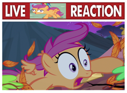 Size: 1080x797 | Tagged: safe, derpibooru import, edit, edited screencap, screencap, scootaloo, pegasus, pony, sleepless in ponyville, faic, leaves, live tucker reaction, meme, reaction image