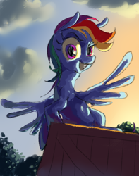Size: 1500x1900 | Tagged: safe, artist:saltycube, derpibooru import, rainbow dash, pegasus, pony, box, cloud, looking at you, sitting, sky, smiling, solo, spread wings, sunset, tree, wings