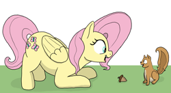 Size: 4443x2416 | Tagged: safe, artist:doodledonutart, derpibooru import, fluttershy, pegasus, pony, squirrel, acorn, cute, duo, high res, looking at each other, looking at someone, open mouth, open smile, shyabetes, simple background, smiling, white background