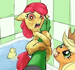 Size: 2824x2625 | Tagged: safe, artist:crade, derpibooru import, apple bloom, applejack, oc, oc:anon, earth pony, human, pony, adorable distress, apple sisters, bathtub, brush, clinging, cute, dirt, dirty, female, filly, foal, imminent bath, looking at you, mare, mouth hold, open mouth, rubber duck, scared, siblings, signature, sisters, smiling, sweat, sweatdrops, tile