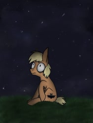 Size: 768x1024 | Tagged: safe, artist:helpilostmysonic, derpibooru import, oc, oc only, oc:forty winks, earth pony, pony, grass, looking up, night, sitting, solo, stars