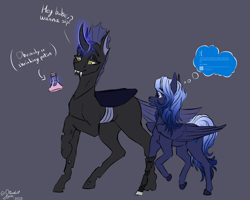 Size: 5000x4000 | Tagged: safe, artist:stardustspix, oc, oc only, oc:anaxxa, oc:kyanite arc, changeling, pegasus, pony, absurd resolution, amputee, blue changeling, blue coat, blue eyes, blue mane, blue screen of death, changeling oc, colored eyebrows, colored eyelashes, dialogue, duo, eyeshadow, fangs, female, golden eyes, gradient mane, gray background, larger female, levitation, lidded eyes, magic, magic aura, male, open mouth, potion, prosthetic leg, prosthetic limb, prosthetics, simple background, size difference, smaller male, smiling, solo, stallion, telekinesis, thought bubble, wings