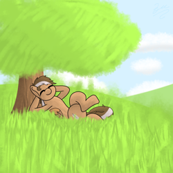 Size: 2048x2048 | Tagged: source needed, safe, artist:zugatti69, derpibooru import, oc, oc only, pegasus, pony, brown hair, brown mane, brown tail, cute, cute face, cute smile, eyes closed, grass, grass field, grey hair, lying down, male, relaxing, signature, smiling, tail, tree