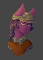 Size: 1800x2500 | Tagged: safe, artist:lazymishel, derpibooru import, earth pony, pony, fallout equestria, fallout equestria: dead tree, armor, balefire blues, camouflage, clothes, female, flashlight (object), hazel eyes, male, mare, purple fur, purple mane, shipping, silver alliance (dead tree), soldier, straight, uniform, uniform hat, unit template, yellow mane