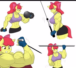 Size: 4096x3705 | Tagged: safe, artist:matchstickman, derpibooru import, apple bloom, anthro, earth pony, apple bloom's bow, apple bloomed, apple brawn, arm behind back, biceps, bow, breasts, clothes, comic, deltoids, dumbbell (object), female, fingerless gloves, flexing, gloves, hair bow, mare, matchstickman's apple brawn series, muscles, muscular female, older, older apple bloom, pecs, simple background, solo, sweat, thighs, thunder thighs, triceps, weight lifting, weights, white background